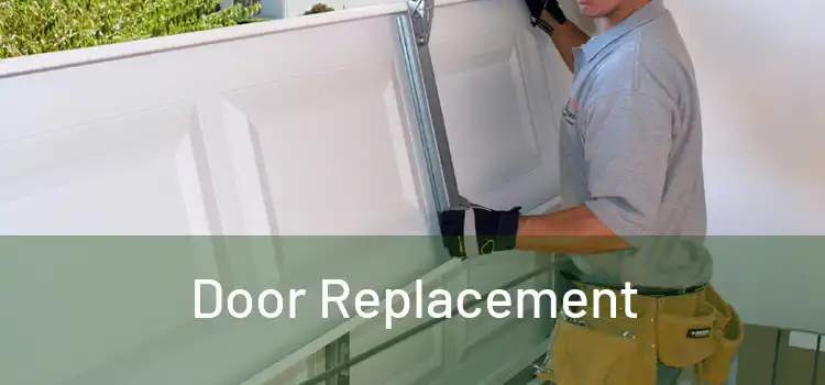  Door Replacement 