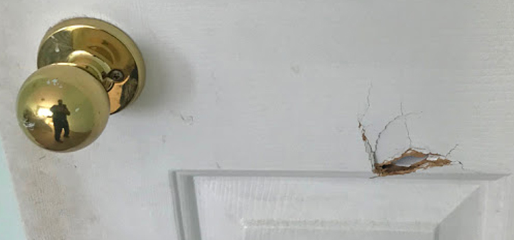 interior door hole repair Rancho Palos Verdes